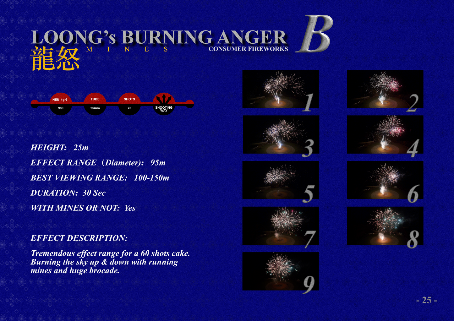 LOONG’s BURNING ANGER B 龍怒B